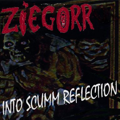 ZIEGORR - INTO SCUMM REFLECTION