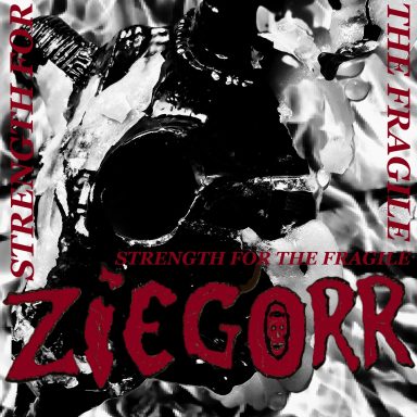 New release 27. August 26 ZIEGORR - Strength for the fragile
